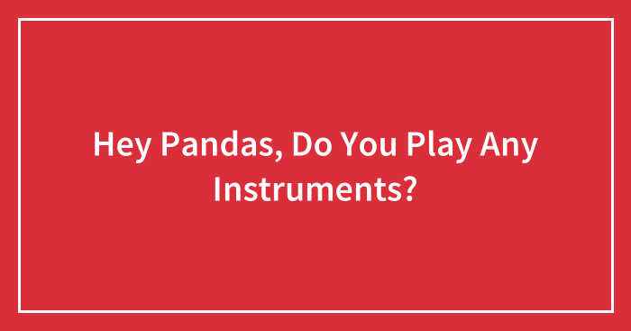 Hey Pandas, Do You Play Any Instruments? (Closed)