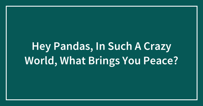 Hey Pandas, In Such A Crazy World, What Brings You Peace? (Closed)