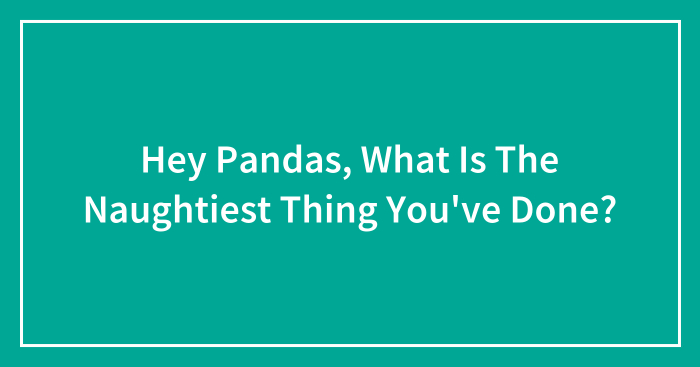 Hey Pandas, What Is The Naughtiest Thing You’ve Done? (Closed)