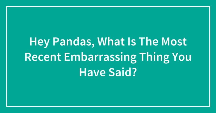 Hey Pandas, What Is The Most Recent Embarrassing Thing You Have Said? (Closed)