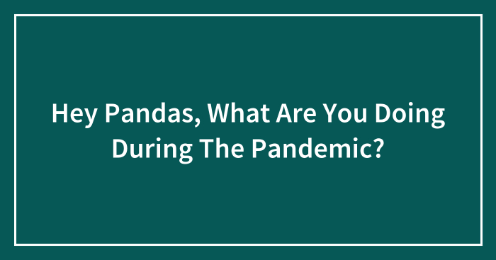 Hey Pandas, What Are You Doing During The Pandemic? (Closed)