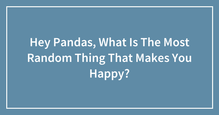 Hey Pandas, What Is The Most Random Thing That Makes You Happy? (Closed)