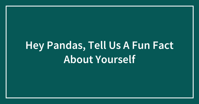 Hey Pandas, Tell Us A Fun Fact About Yourself (Closed)