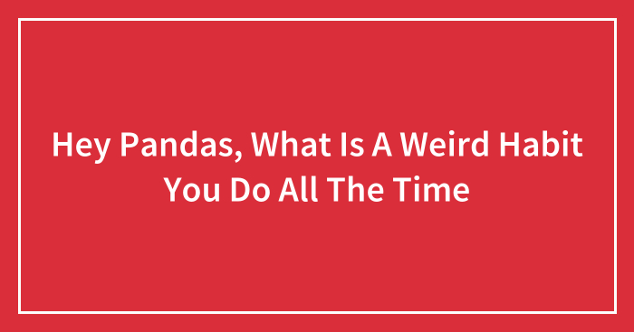 Hey Pandas, What Is A Weird Habit You Do All The Time (Closed)