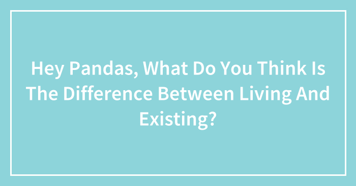 Hey Pandas, What Do You Think Is The Difference Between Living And Existing? (Closed)