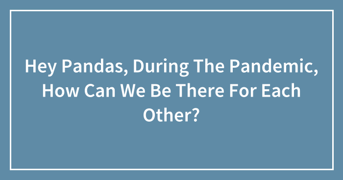 Hey Pandas, During The Pandemic, How Can We Be There For Each Other? (Closed)