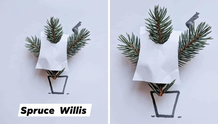 I Turn Famous Bruces Into Spruces (8 Pics)