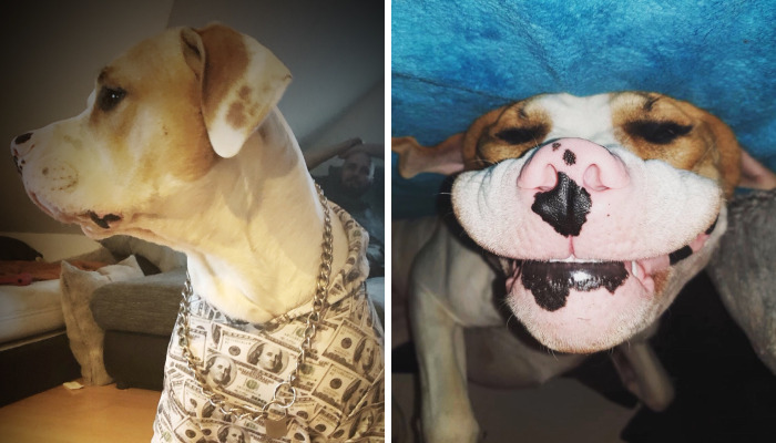 This Is My Cody & You’re Gonna Love Him