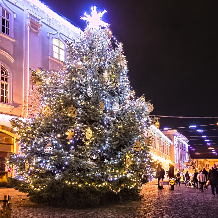 My Hometown’s Christmas Lights In 2020