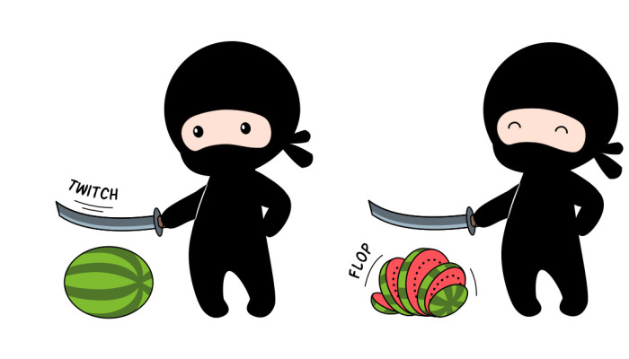 My 7 Illustrations Of Canadian Ninjas