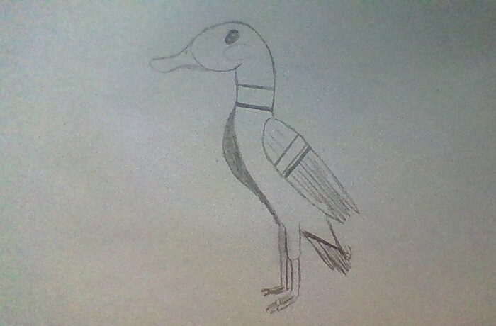 Hey Pandas, Draw Your Favorite Animal In 5 Minutes (Closed)