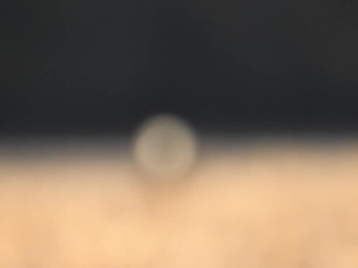 Got This Pic Of An Eagle, But It Wasn't Too Clear, So I Thought I'd Help You Guys Out W The Details