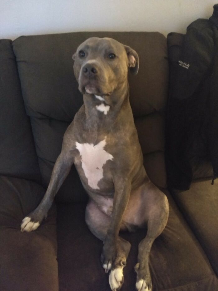 My Very Distinguished Gentleman