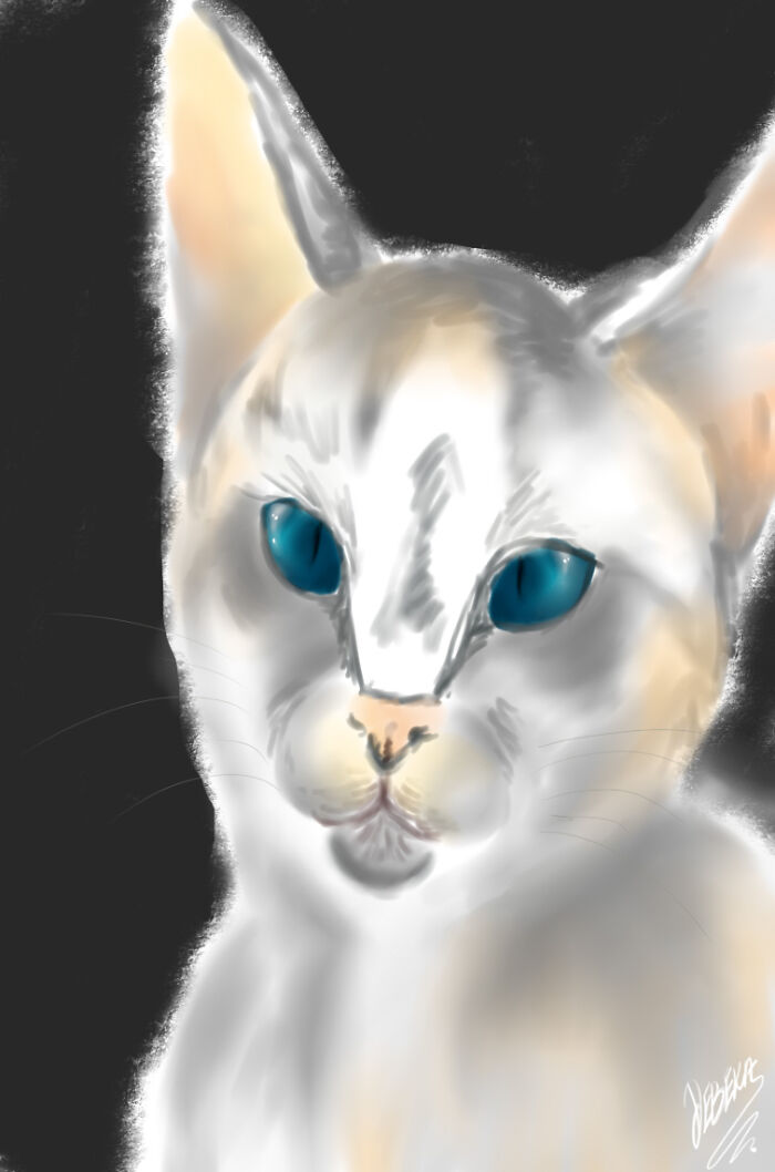 My Sweet Little Kitten ^.^