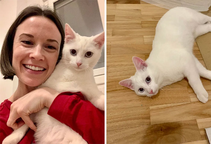 Sorry About Bad Quality But We Adopted This New Girl Yesterday And Today She Came Out Of Hiding To Play And Cuddle Me And I’m So Happy!!!