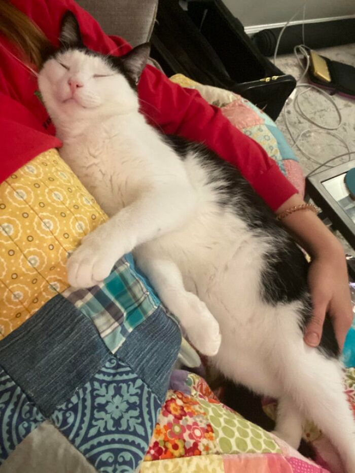 After Job Turmoil And Quarantine Blues And A Horrible Breakup, 2020 Pulled Through And Put These Angels In A Shelter Right Before I Finally Convinced My Landlords To Let Me Adopt!!