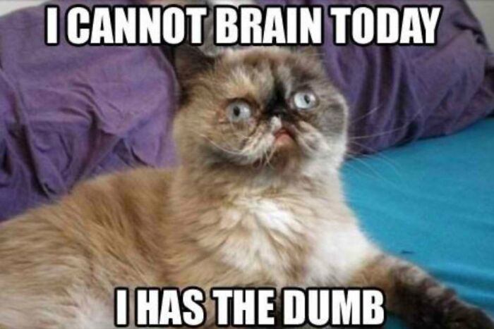 I Always Has The Dumb