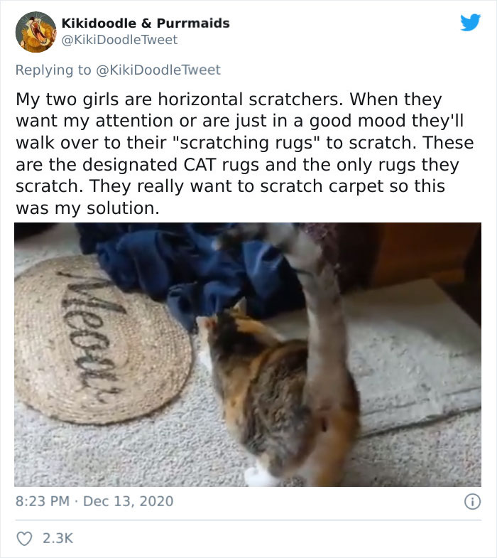 Person Shares How To Have Nice Furniture And A Happy Cat Instead Of Declawing It