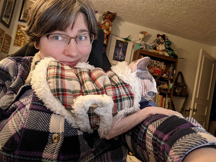 Person Shares How To Have Nice Furniture And A Happy Cat Instead Of Declawing It