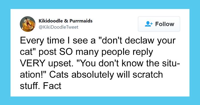 Person Shares How To Have Nice Furniture And A Happy Cat Instead Of Declawing It