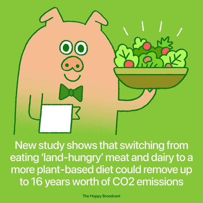 Positive-News-2020-Illustrations-Mauro-Gatti