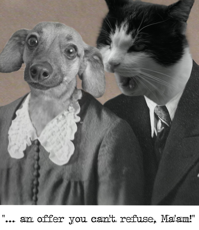 Usually My Cat Makes These Offers To Me. ...without Wearing My Grandfather's Suit