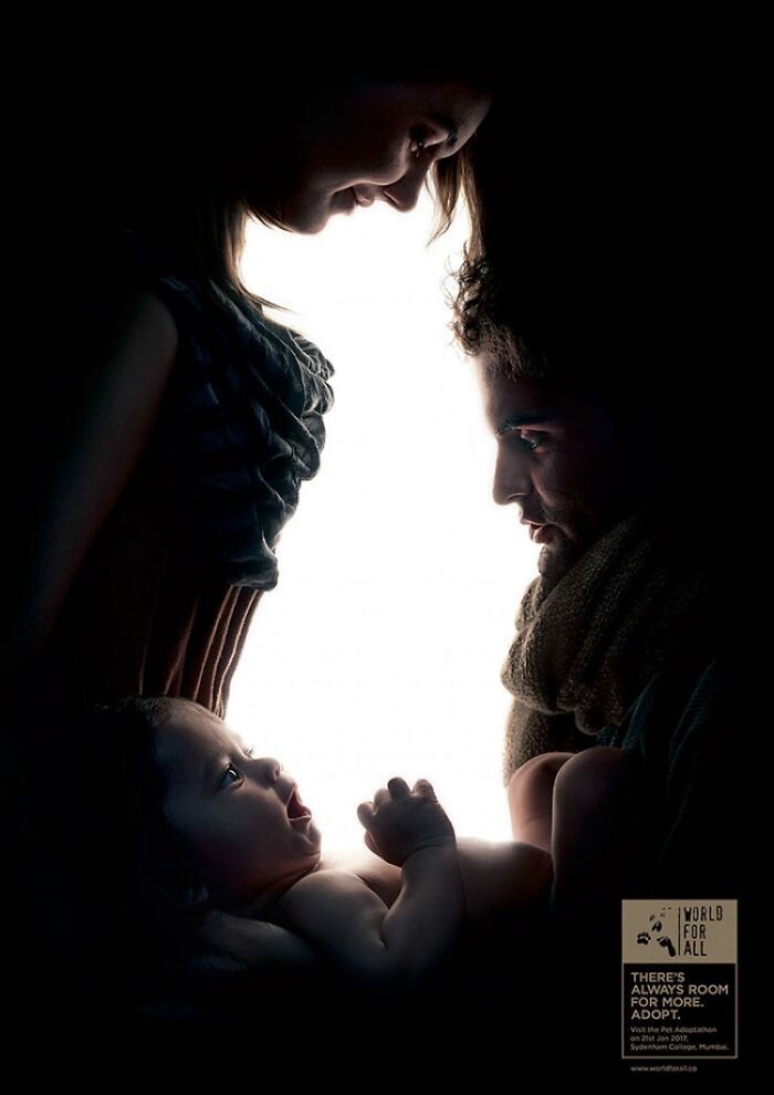 From The Humane Society Proving That Any Dog Can Be A Special Part Of Any Family.