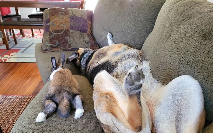 Is This Even Normal?