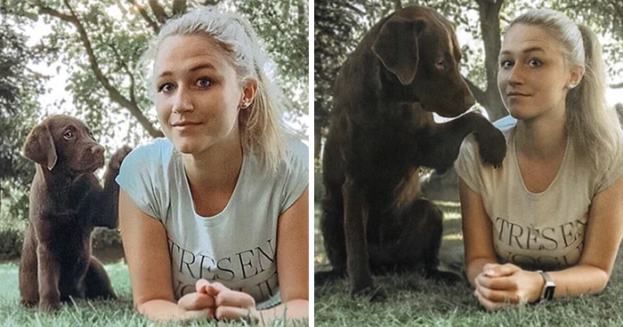 45 Adorable Dogs Before & After They Grew Up (New Pics)