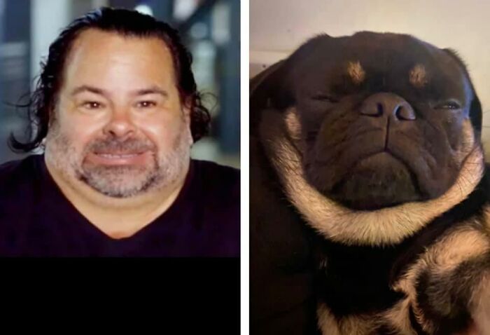 Just Needs Some Mayo On The Hair