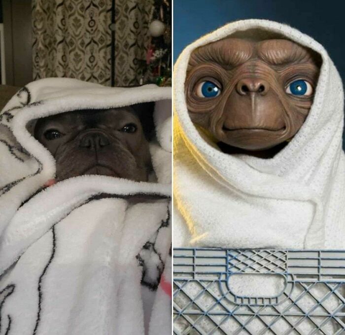 E.T.