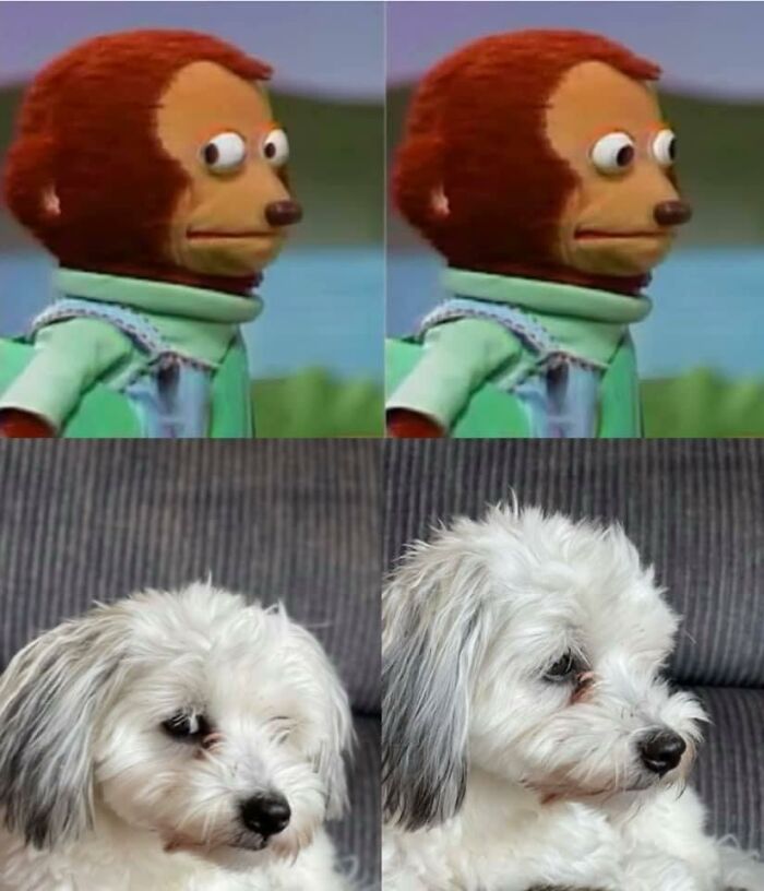 When Your Sister Is Getting In Trouble For The Mess You Made