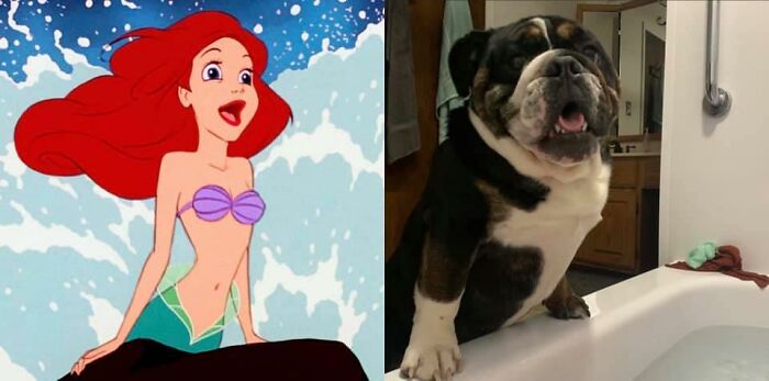 Can't Even Tell Them Apart