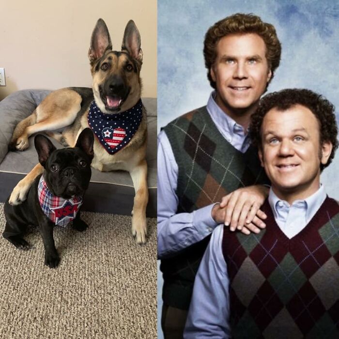 This House Is A Friggin Prison!