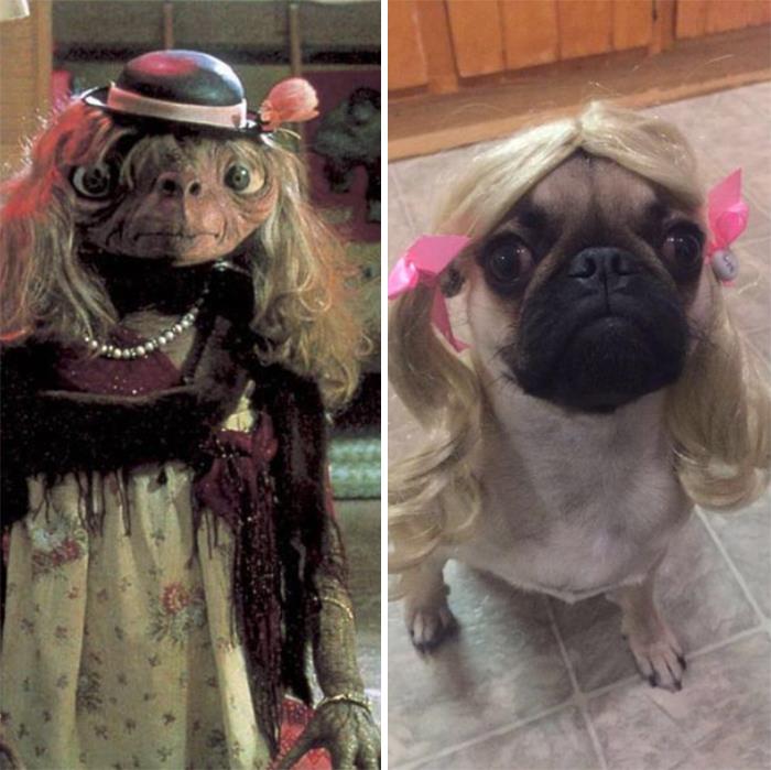 Luckily, Mr. Jones Grew Into Those Eyes