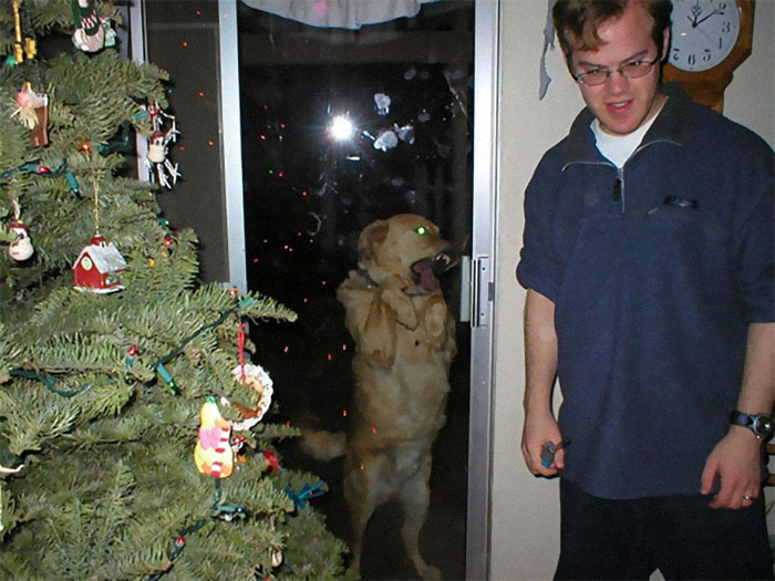 Dogs-Ruined-Christmas-Photos