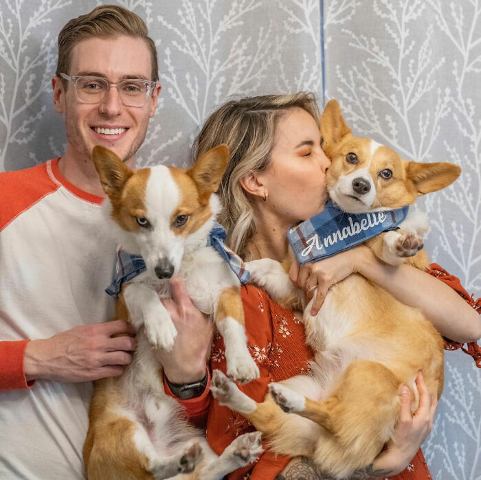 Dogs-Ruined-Christmas-Photos