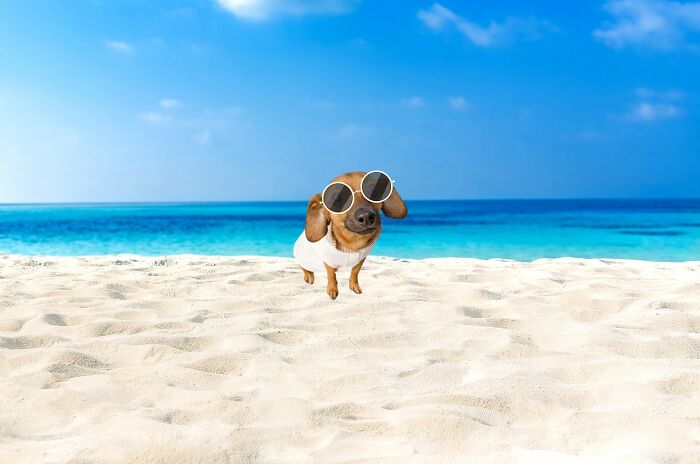 Not Much, I'm Not Very Good At Photoshopping Things