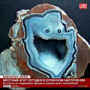 ekaterinavalova avatar