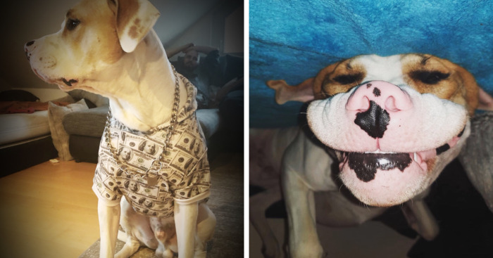 This Is My Cody & You’re Gonna Love Him