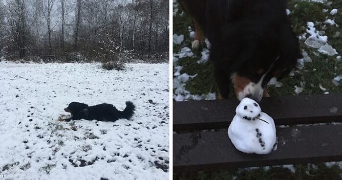 Hey Pandas, If It’s Snowy Where You Are, Share A Pic! (Closed)