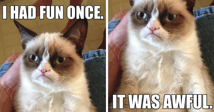 Hey Pandas, Post Your Favorite Cat Meme (Closed)