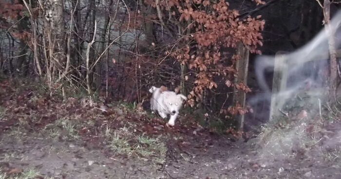 Hey Pandas, Share Your Best Floating Orbs And Ghost Pictures! (Closed)