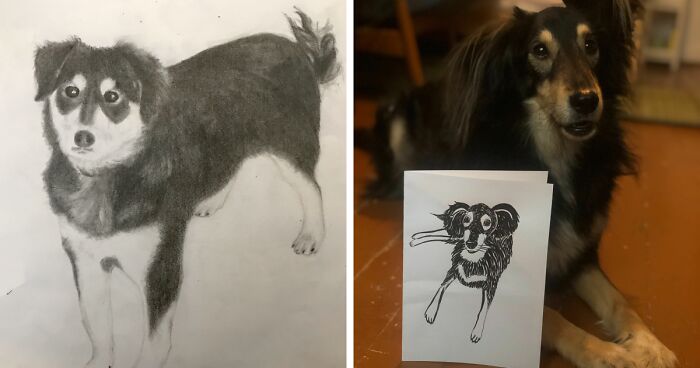 Hey Pandas, Draw Your Pet And Post It Here (Closed)