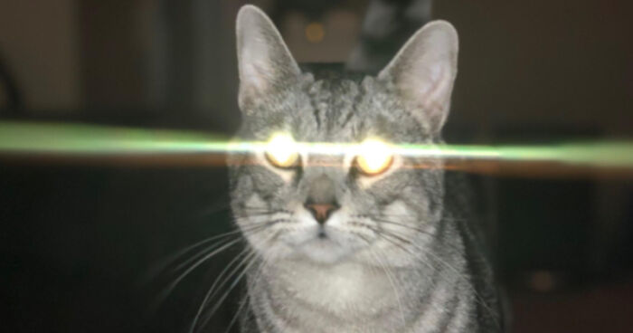 Hey Pandas, Post The Weirdest Picture You’ve Photoshopped (Closed)