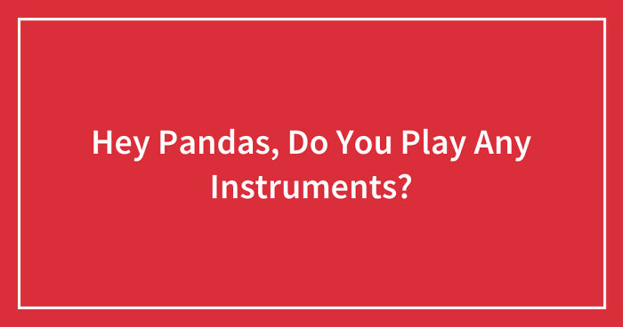 Hey Pandas, Do You Play Any Instruments? (Closed)