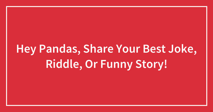 Hey Pandas, Share Your Best Joke, Riddle, Or Funny Story! (Closed)