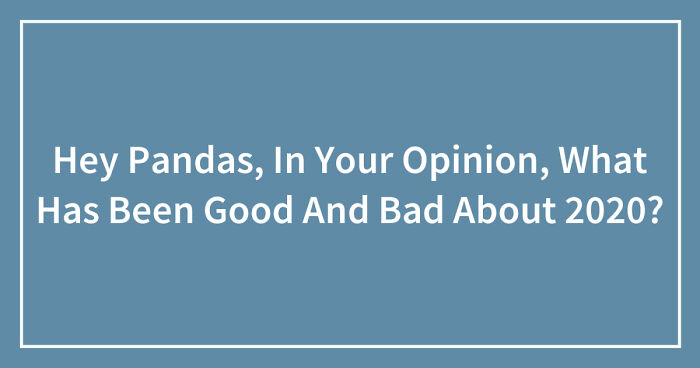 Hey Pandas, In Your Opinion, What Has Been Good And Bad About 2020? (Closed)