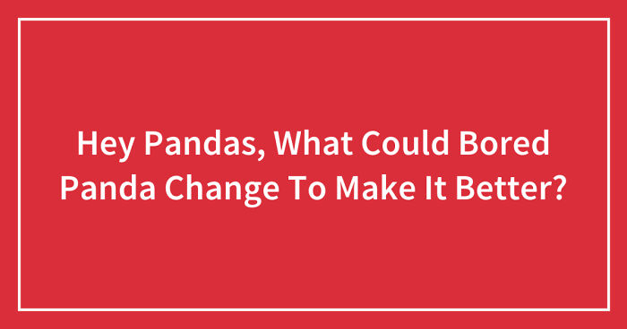 Hey Pandas, What Could Bored Panda Change To Make It Better?