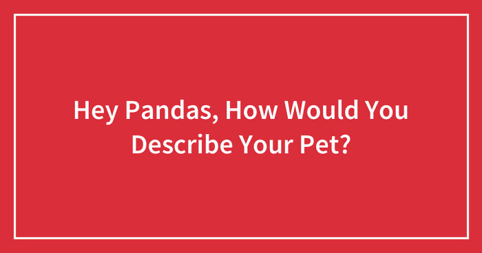 Hey Pandas, How Would You Describe Your Pet? (Closed)
